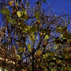 INVERNO. Fotografie di Giulio Azzarello &copy;2023.