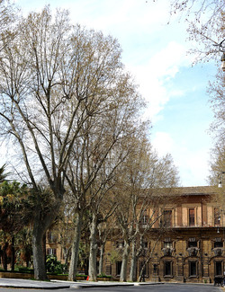 VILLA BONANNO a Palermo. Fotografie di Giulio Azzarello &copy;2016.