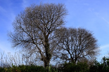 CAMPAGNA fotografie di Giulio Azzarello ©2020.