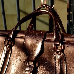 NATURE MORTE. Fotografie di Giulio Azzarello ©2024. NATURE MORTE. Fotografie di Giulio Azzarello ©2024.