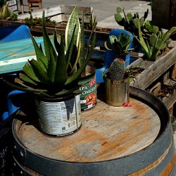 SAN VITO LO CAPO. Fotografie di Giulio Azzarello &copy;2023.
