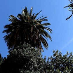 Arabo Normanno. Fotografie di Giulio Azzarello ©2024. Arabo Normanno. Fotografie di Giulio Azzarello ©2024.