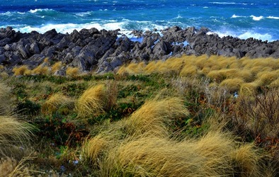 COSTA SICILIANA fotografie di Giulio Azzarello &copy;2020.