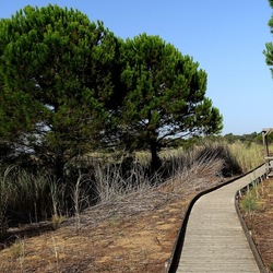 SELINUNTE. Fotografie di Giulio Azzarello ©2022. SELINUNTE. Fotografie di Giulio Azzarello ©2022.