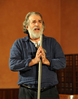 CARLO MAGNO spettacolo epico di e con Mimmo Cuticchio. Fotografie di Giulio Azzarello &copy;2014.