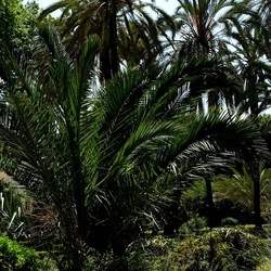 PALERMO. Fotografie di Giulio Azzarello &copy;2022.