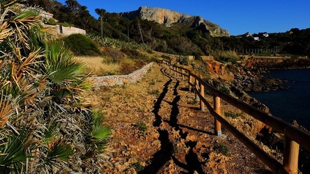 CAPO RAMA riserva naturale Terrasini. Fotografie di Giulio Azzarello &copy;2020.