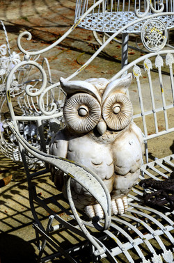 ORTO BOTANICO di Palermo in inverno. Fotografie di Giulio Azzarello &copy;2016.