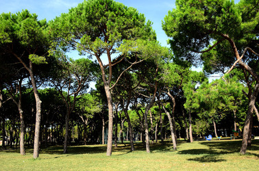 GIARDINI della BIENNALE a Venezia. Foto di Giulio Azzarello &copy;2015 2016.