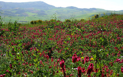 PAESAGGIO SICILIANO nel luogo delle macalube in Sicilia. Fotografie di Giulio Azzarello &copy;2014.