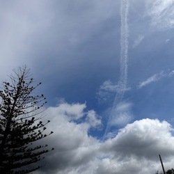 CAMMINANDO. Fotografie di Giulio Azzarello &copy;2024.