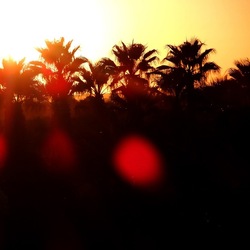 SELINUNTE. Fotografie di Giulio Azzarello ©2022. SELINUNTE. Fotografie di Giulio Azzarello ©2022.