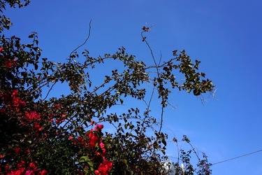 MONDELLO. Fotografie di Giulio Azzarello &copy;2023.