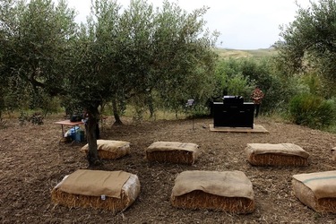 ULIVETO SICILIANO. Fotografie di Giulio Azzarello ©2022.