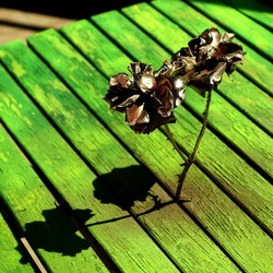 METALLICO. Fotografia di Giulio Azzarello &copy;2023.