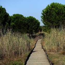 SELINUNTE. Fotografie di Giulio Azzarello ©2022. SELINUNTE. Fotografie di Giulio Azzarello ©2022.