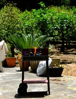 CARNE RUSTICA fotografie di Giulio Azzarello ©2019. CARNE RUSTICA fotografie di Giulio Azzarello ©2019.