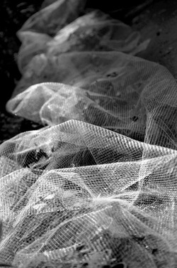 FOTOGRAFIE SPECIALI bianco e nero colore astratto concettuale grafico. Fotografie di Giulio Azzarello &copy;2014.