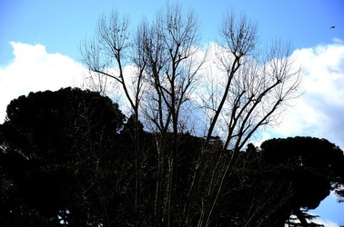 COLOSSEO Roma. Fotografie di Giulio Azzarello ©2020. COLOSSEO Roma. Fotografie di Giulio Azzarello ©2020.