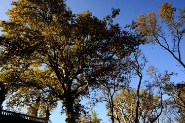 VENEZIA Giardini della Biennale di Arch. Cont.. Fotografie di Giulio Azzarello ©2022.