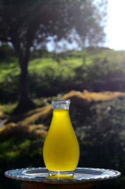 ULIVETO in autunno. Fotografie di Giulio Azzarello ©2014. ULIVETO in autunno. Fotografie di Giulio Azzarello ©2014.