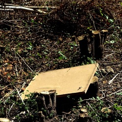 RAMI E ROVI. Fotografie di Giulio Azzarello ©2023. RAMI E ROVI. Fotografie di Giulio Azzarello ©2023.