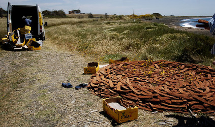 ARTE CONTEMPORANEA A PIRGI sito e riserva archeologica. Fotografie di Giulio Azzarello &copy;2014.