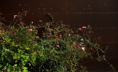 BIENNALE DI VENEZIA Arti Contemporanee Arsenale. Fotografie di Giulio Azzarello &copy;2020.