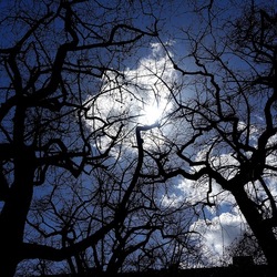 ORTO BOTANICO DI PALERMO. Fotografie di Giulio Azzarello ©2022. ORTO BOTANICO DI PALERMO. Fotografie di Giulio Azzarello ©2022.