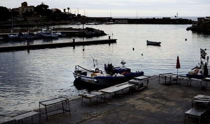 MERCATO del PESCE fotografie di Giulio Azzarello &copy;2019.