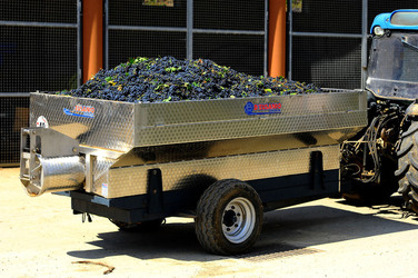 AZIENDA VITIVINICOLA in Sicilia. Fotografie di Giulio Azzarello ©2016. AZIENDA VITIVINICOLA in Sicilia. Fotografie di Giulio Azzarello ©2016.