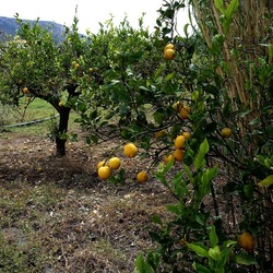 CAMMINANDO. Fotografie di Giulio Azzarello &copy;2024.