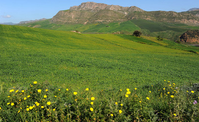 PAESAGGIO SICILIANO nel luogo delle macalube in Sicilia. Fotografie di Giulio Azzarello &copy;2014.