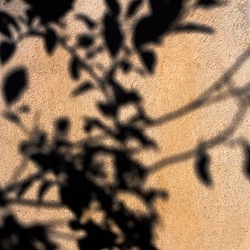 OMBRE di agosto. Fotografie di Giulio Azzarello &copy;2018.