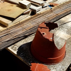 GIARDINO SICILIANO. Fotografie di Giulio Azzarello ©2022. GIARDINO SICILIANO. Fotografie di Giulio Azzarello ©2022.