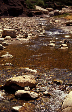 FIUMARA D ARTE fotografie di Giulio Azzarello ©1996 2021.