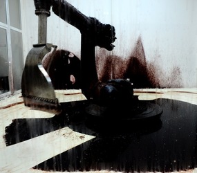 BIENNALE di VENEZIA Arte Contemporanea Giardini. Fotografie di Giulio Azzarello &copy;2020.