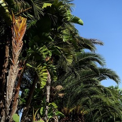 SELINUNTE. Fotografie di Giulio Azzarello ©2022. SELINUNTE. Fotografie di Giulio Azzarello ©2022.