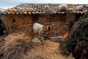 IL PRESEPE VIVENTE DI CUSTONACI in Sicilia. Fotografie di Giulio Azzarello ©2014. IL PRESEPE VIVENTE DI CUSTONACI in Sicilia. Fotografie di Giulio Azzarello ©2014.