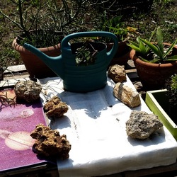 ZISA. Fotografie di Giulio Azzarello &copy;2023.