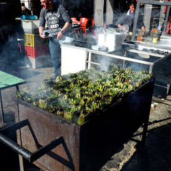 Festa di S.Agata a Catania. Fotografie di Giulio Azzarello ©2017.