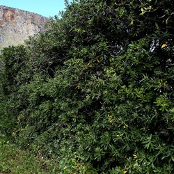 OSSERVAZIONI. Fotografie di Giulio Azzarello ©2022. OSSERVAZIONI. Fotografie di Giulio Azzarello ©2022.