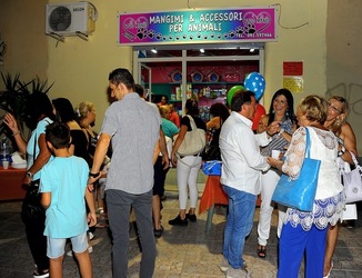 NEGOZIO di ANIMALI. Fotografie di Giulio Azzarello ©2018. NEGOZIO di ANIMALI. Fotografie di Giulio Azzarello ©2018.