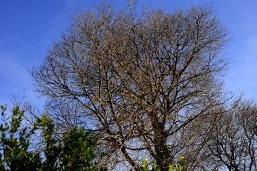 CAMPAGNA fotografie di Giulio Azzarello ©2020.