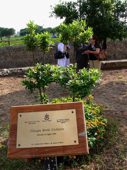 GIARDINO DELLA MEMORIA in Sicilia. Fotografie di Giulio Azzarello &copy;2014.