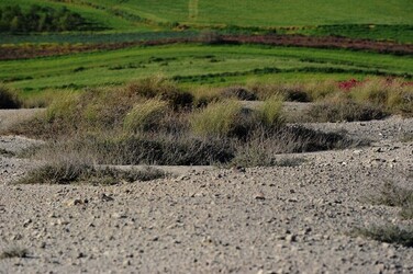 LE MACALUBE di Sicilia. Fotografie di Giulio Azzarello ©2014. LE MACALUBE di Sicilia. Fotografie di Giulio Azzarello ©2014.