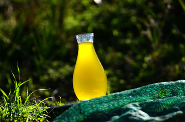 ULIVETO in autunno. Fotografie di Giulio Azzarello ©2014. ULIVETO in autunno. Fotografie di Giulio Azzarello ©2014.