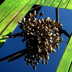 SPECCHIATI. Fotografia di Giulio Azzarello ©2023. SPECCHIATI. Fotografia di Giulio Azzarello ©2023.