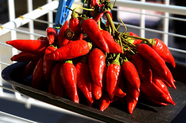 PEPERONCINO fotografie di Giulio Azzarello ©2014. PEPERONCINO fotografie di Giulio Azzarello ©2014.