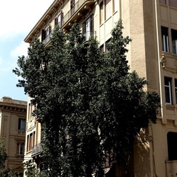 PALERMO. Fotografie di Giulio Azzarello &copy;2023.